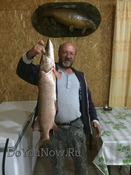 2016 Рыболовные трофеи на рыболовной базе На-Волгу РФ 102