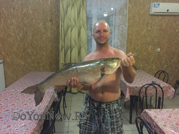 2015 Рыболовные трофеи фотоотчет 26