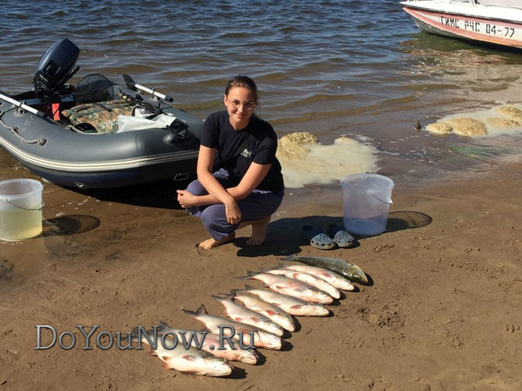 2017 г Рыболовные трофеи на рыболовной базе На-Волгу РФ 133