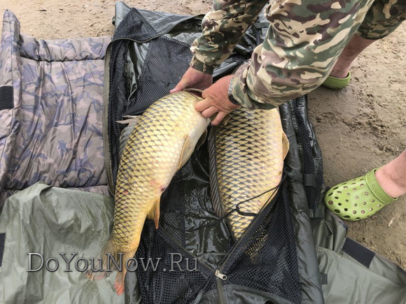Рыболовные трофеи 2019 033