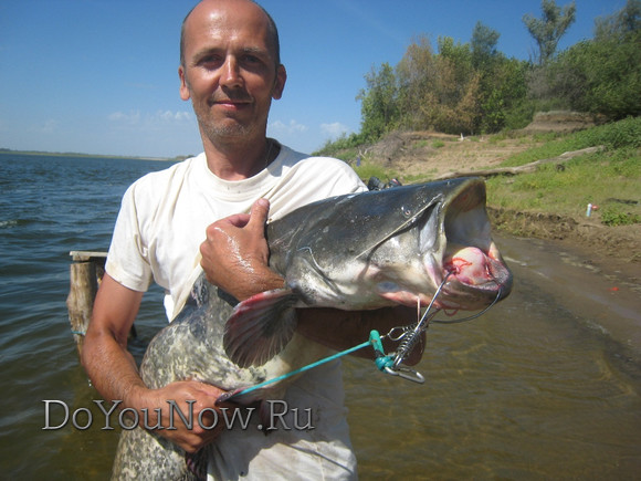 Рыболовные трофеи на Рыболовной базе фотоотчеты 28