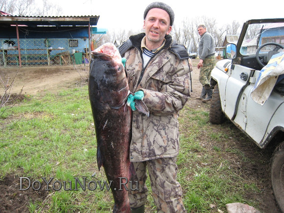 Рыболовные трофеи на Рыболовной базе фотоотчеты 34