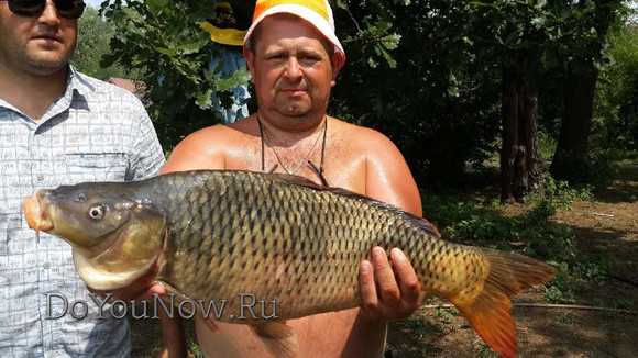 2016 Рыболовные трофеи на рыболовной базе На-Волгу РФ 02