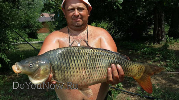 2016 Рыболовные трофеи на рыболовной базе На-Волгу РФ 03