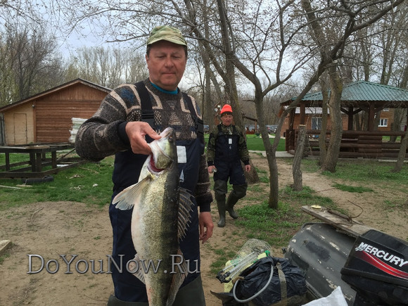 2016 Рыболовные трофеи на рыболовной базе На-Волгу РФ 06