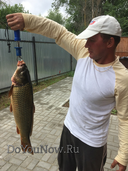 2016 Рыболовные трофеи на рыболовной базе На-Волгу РФ 21