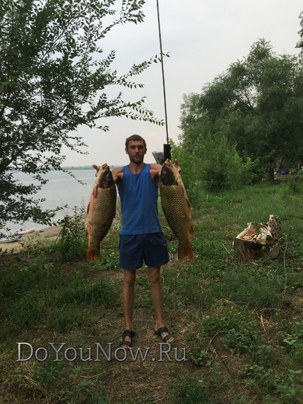 2016 Рыболовные трофеи на рыболовной базе На-Волгу РФ 22