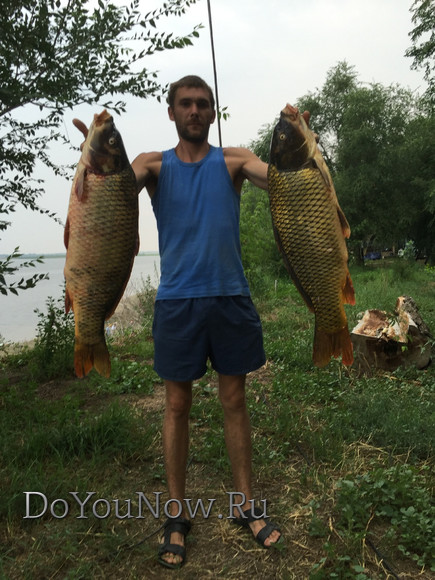 2016 Рыболовные трофеи на рыболовной базе На-Волгу РФ 23