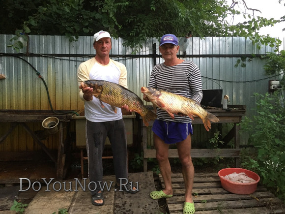 2016 Рыболовные трофеи на рыболовной базе На-Волгу РФ 37