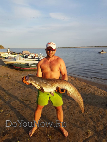 2016 Рыболовные трофеи на рыболовной базе На-Волгу РФ 63
