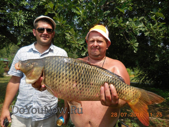 2016 Рыболовные трофеи на рыболовной базе На-Волгу РФ 72
