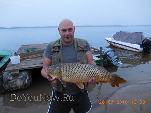 2016 Рыболовные трофеи на рыболовной базе На-Волгу РФ 73