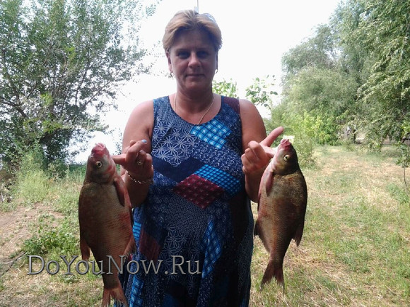 2016 Рыболовные трофеи на рыболовной базе На-Волгу РФ 90