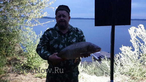 2016 год Рыболовные трофеи на рыболовной базе На-Волгу РФ 01