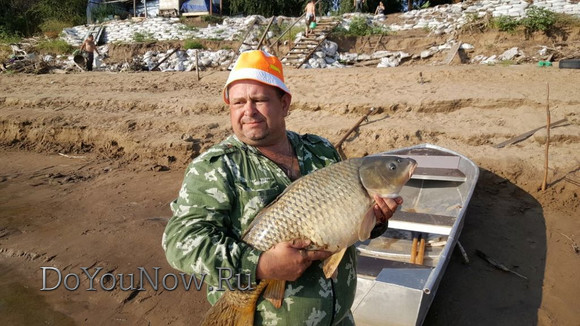 2017 г Рыболовные трофеи на рыболовной базе На-Волгу РФ 101