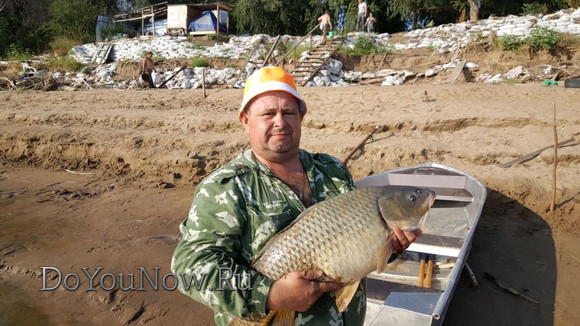 2017 г Рыболовные трофеи на рыболовной базе На-Волгу РФ 102