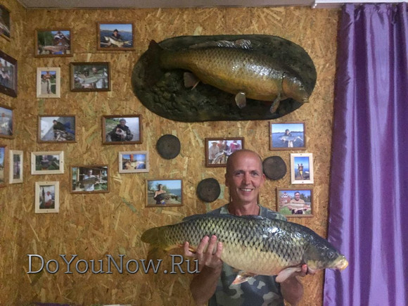 2017 г Рыболовные трофеи на рыболовной базе На-Волгу РФ 130
