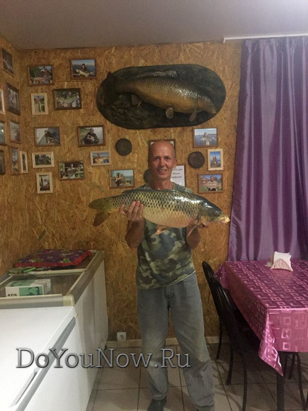 2017 г Рыболовные трофеи на рыболовной базе На-Волгу РФ 131