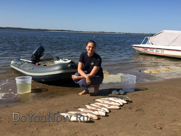 2017 г Рыболовные трофеи на рыболовной базе На-Волгу РФ 132