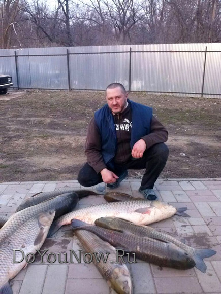 2017 г Рыболовные трофеи на рыболовной базе На-Волгу РФ 150