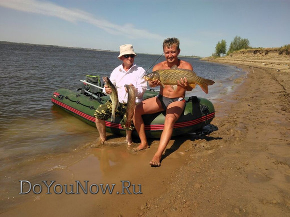2017 г Рыболовные трофеи на рыболовной базе На-Волгу РФ 87
