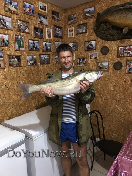 Рыболовные-трофеи-2018-51