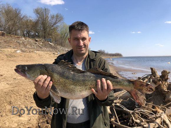 Рыболовные трофеи 2019 005