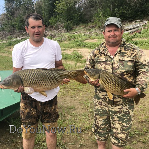 Рыболовные трофеи 2019 050