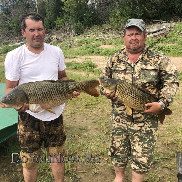 Рыболовные трофеи 2019 051
