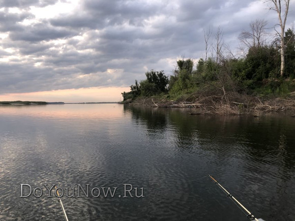 Природа-рыболовной-базы-на-Волге-2019-002