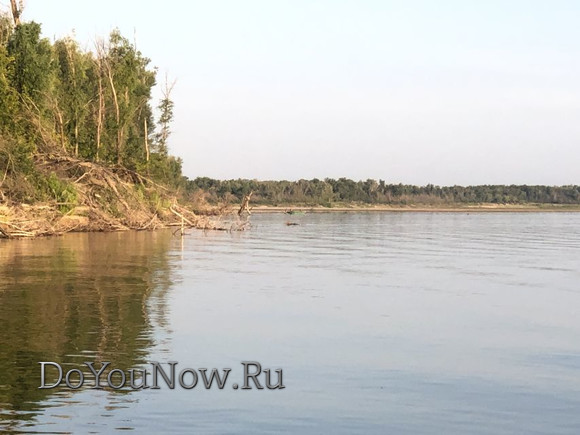 Природа-рыболовной-базы-на-Волге-2019-013