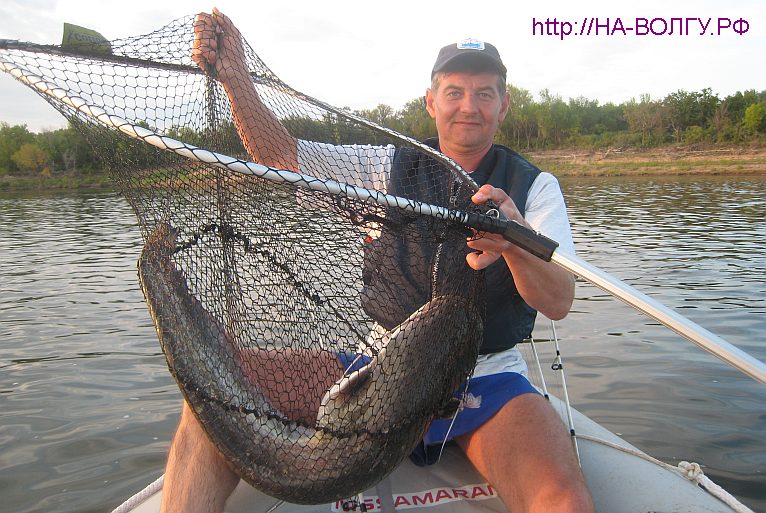 https://doyounow.ru/images/IMG_9850.jpg