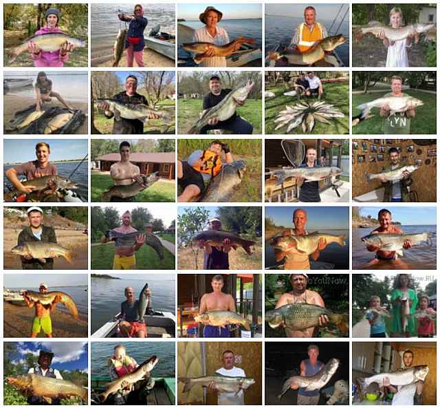 Фотоотчеты по рыбалке на рыболовной базе